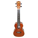 코앤코 콘서트 우쿨렐레