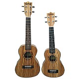 코앤코 지브라 소프라노, 콘서트 우쿨렐레